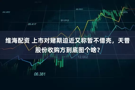 维海配资 上市对赌期迫近又称暂不借壳，天普股份收购方到底图个啥？
